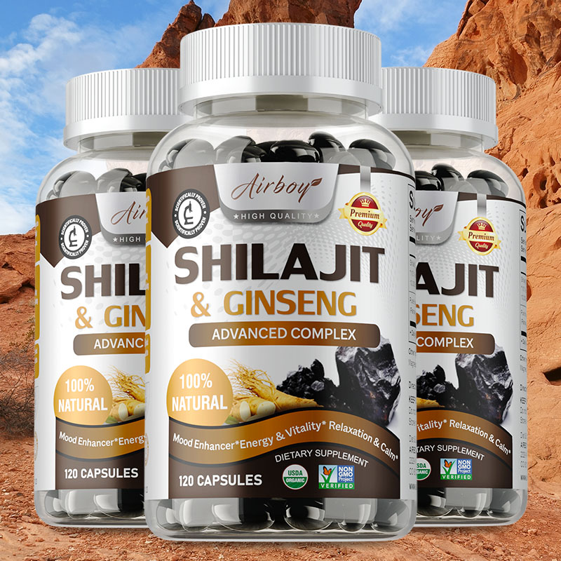 Ginkgo Biloba Extract - Shilajit & Ginseng - Energie- en