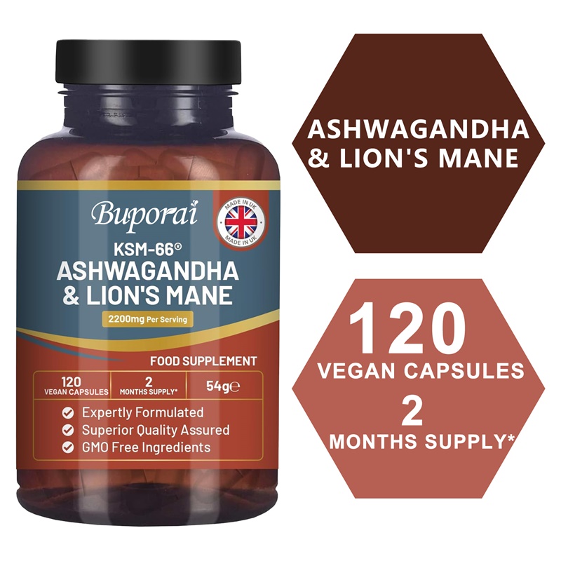 Ginkgo Biloba Extract - Ashwagandha en Lion's Mane - Stressverlichting,