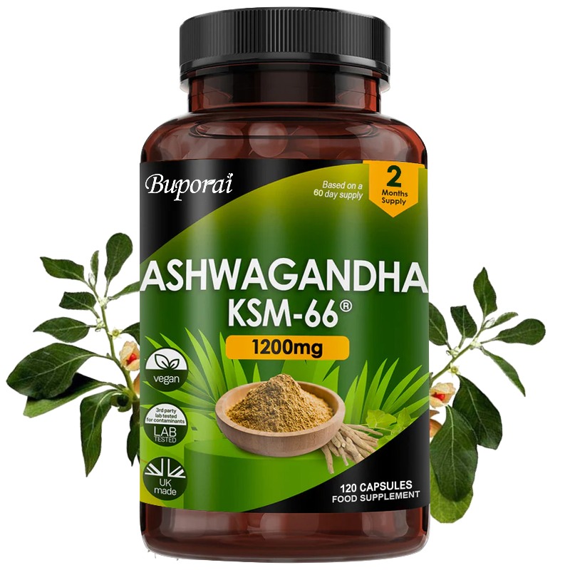 Ginkgo Biloba Extract - Biologisch KSM-66 Ashwagandha wortelextract stressverlichting –