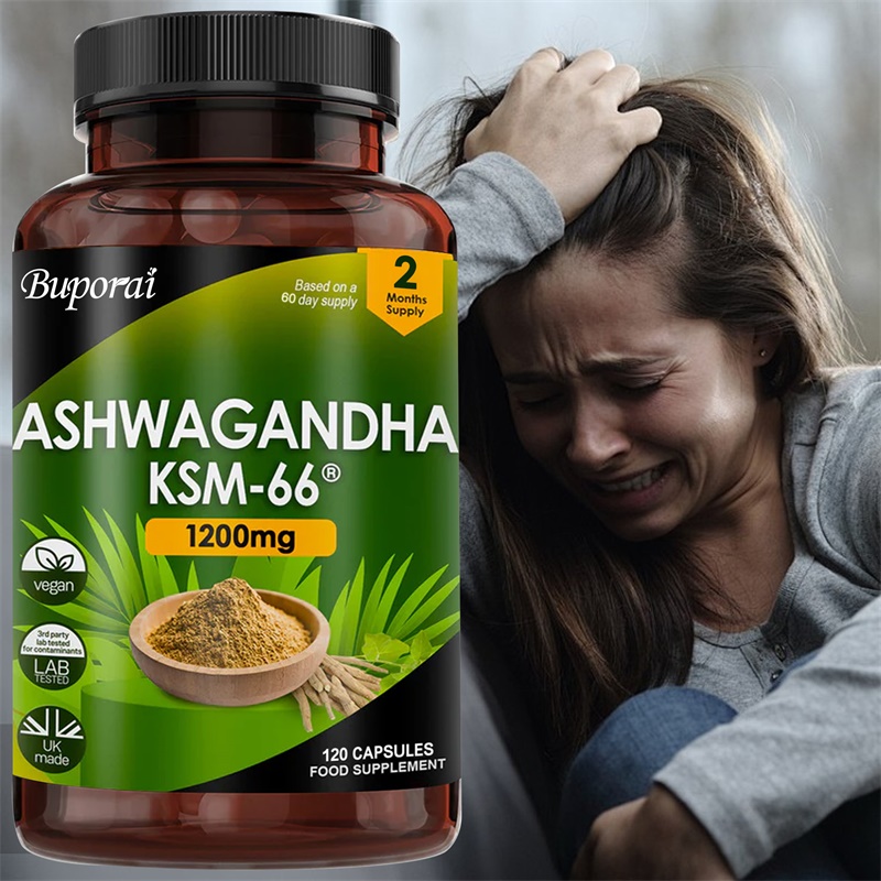 Ginkgo Biloba Extract - Ashwagandha KSM-66 1200mg - Ondersteunt de