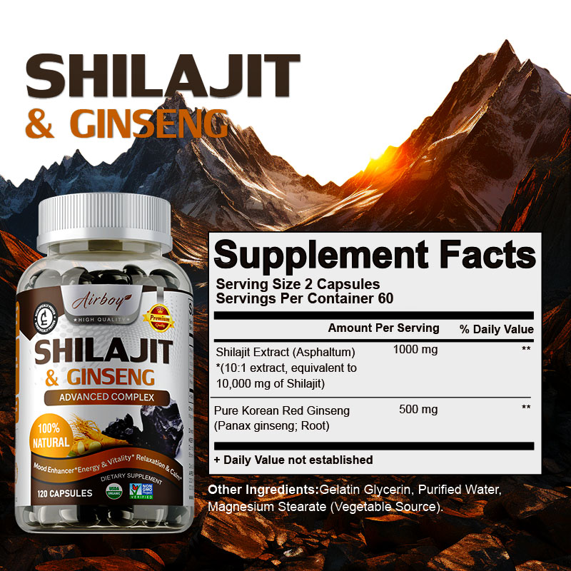 Shilajit & Ginseng - Energie-  - Ginkgo Biloba Extract recensie en prijs
