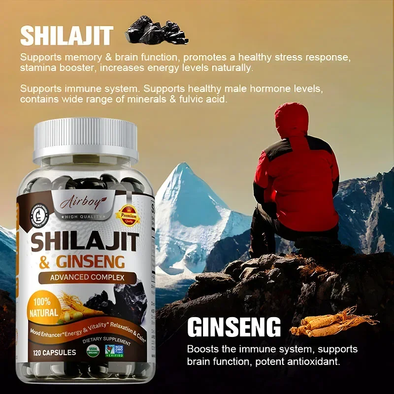 Shilajit & Ginseng - Energie-  - Ginkgo Biloba Extract recensie en prijs