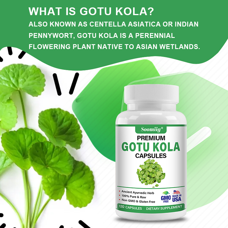 Gotu Kola Capsules 1300mg - Gi - Ginkgo Biloba Extract recensie en prijs