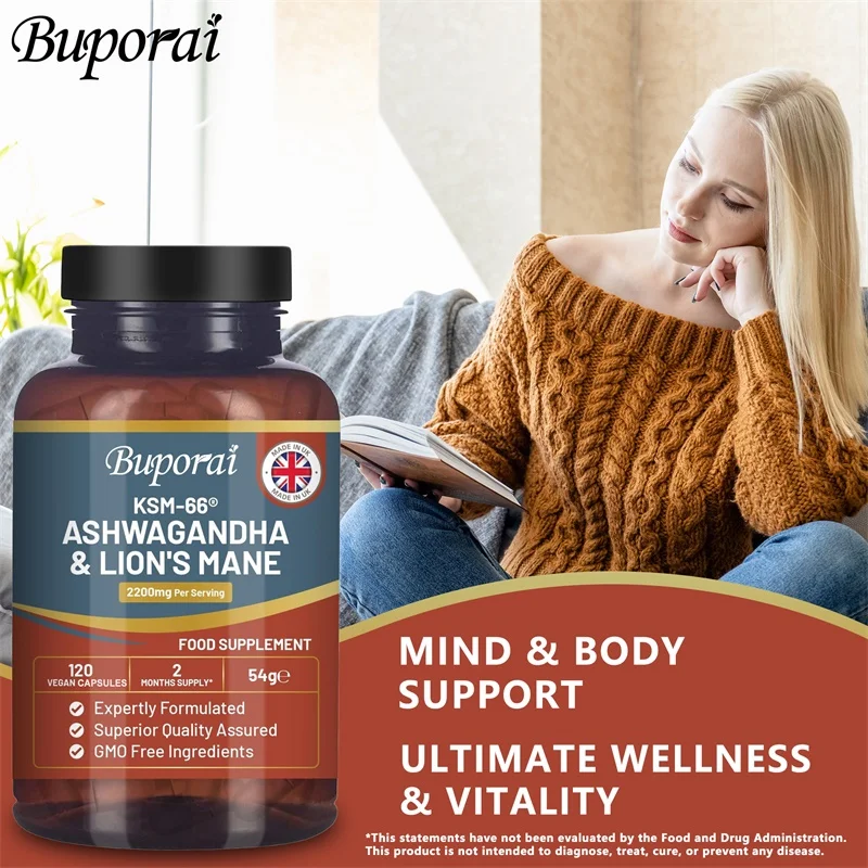 Ashwagandha en Lion's Mane - S - Ginkgo Biloba Extract recensie en prijs
