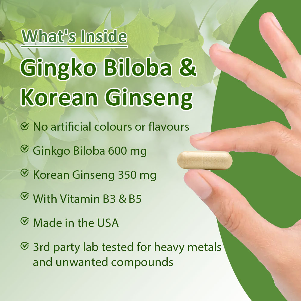 Ginkgo Biloba & Koreaanse Gins - Ginkgo Biloba Extract recensie en prijs