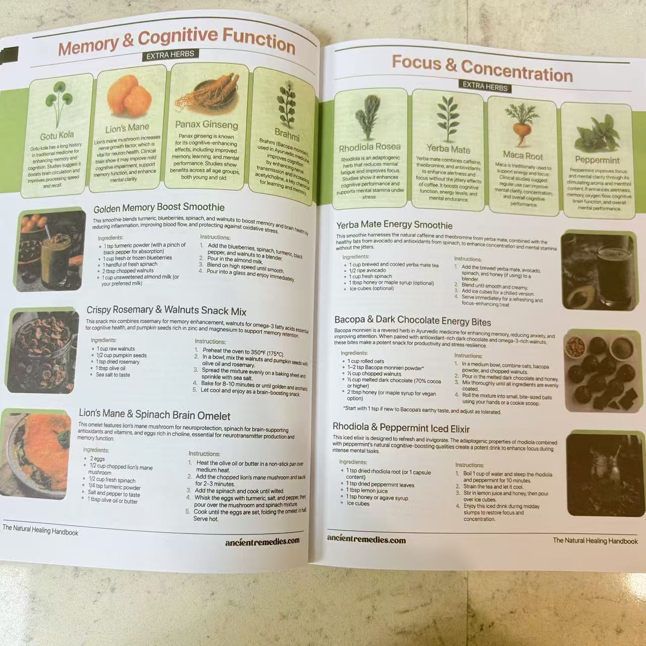 Het handboek voor natuurlijke  - Herbal Holistic Wellness recensie en prijs