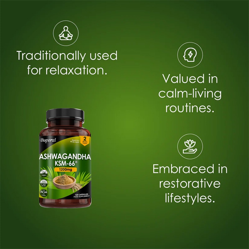 Ashwagandha KSM-66 1200mg - On - Ginkgo Biloba Extract recensie en prijs